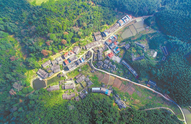 青山“溢”幸福